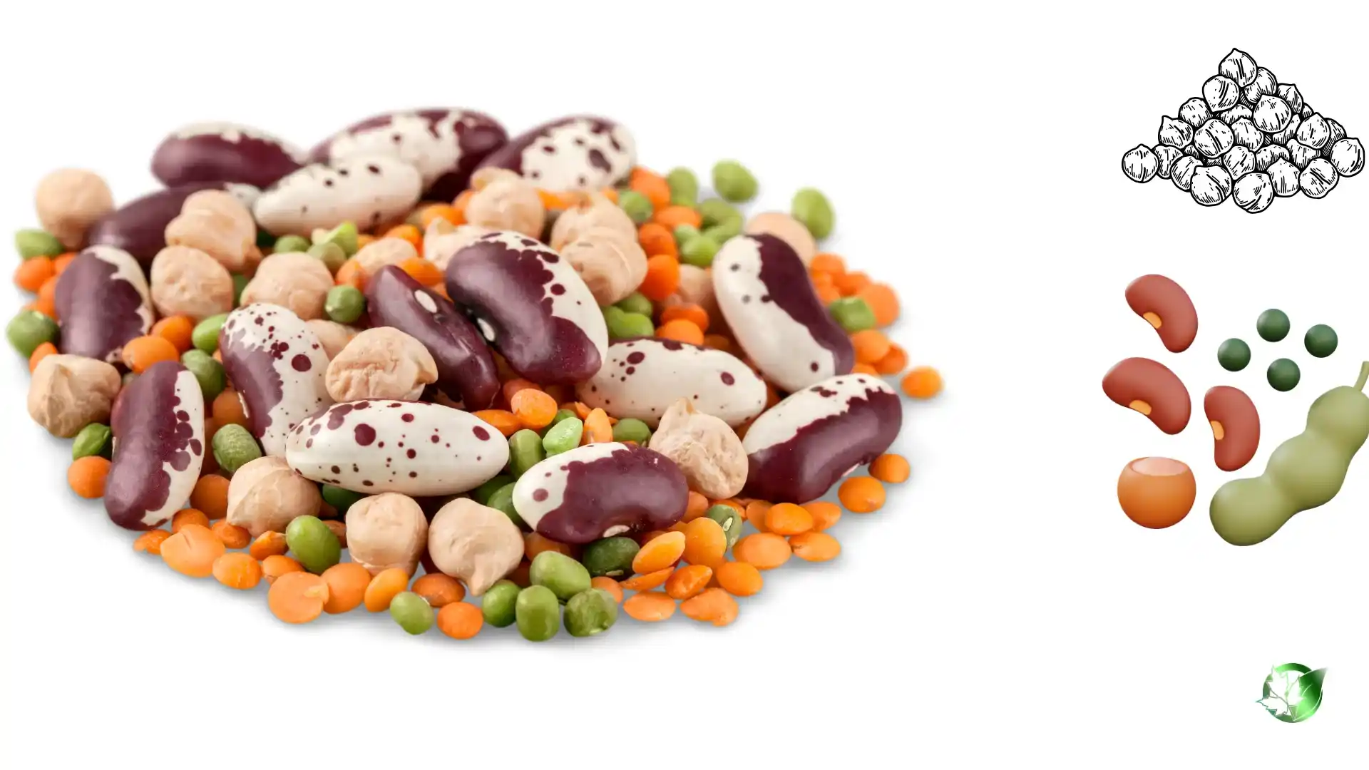 Commercial presentation of Legumes & Pulses for wholesale product evaluation and buyer review.